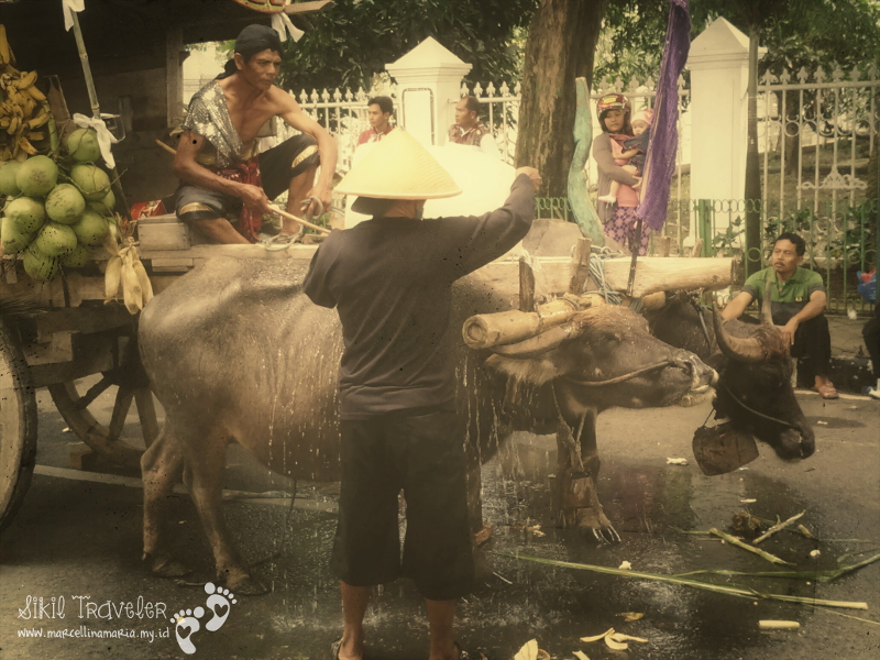sidoarjo cultural parade