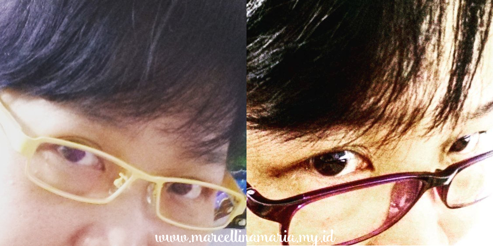 eyeglasses